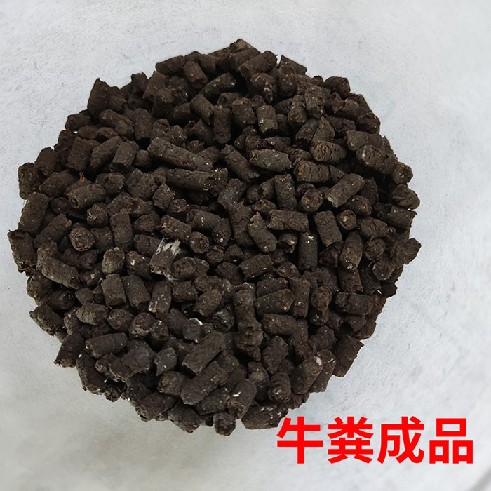 牛糞對(duì)輥擠壓造粒機(jī) 干粉加工顆粒機(jī)成品